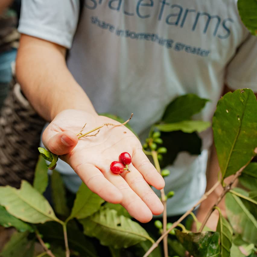 River Roast Blend Medium Roast - Whole Bean Coffee