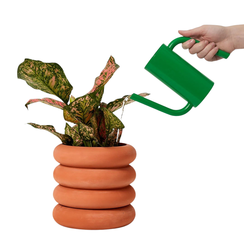 Tango Watering Can - Green