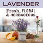 Liquid Dish Soap - Lavender Scent