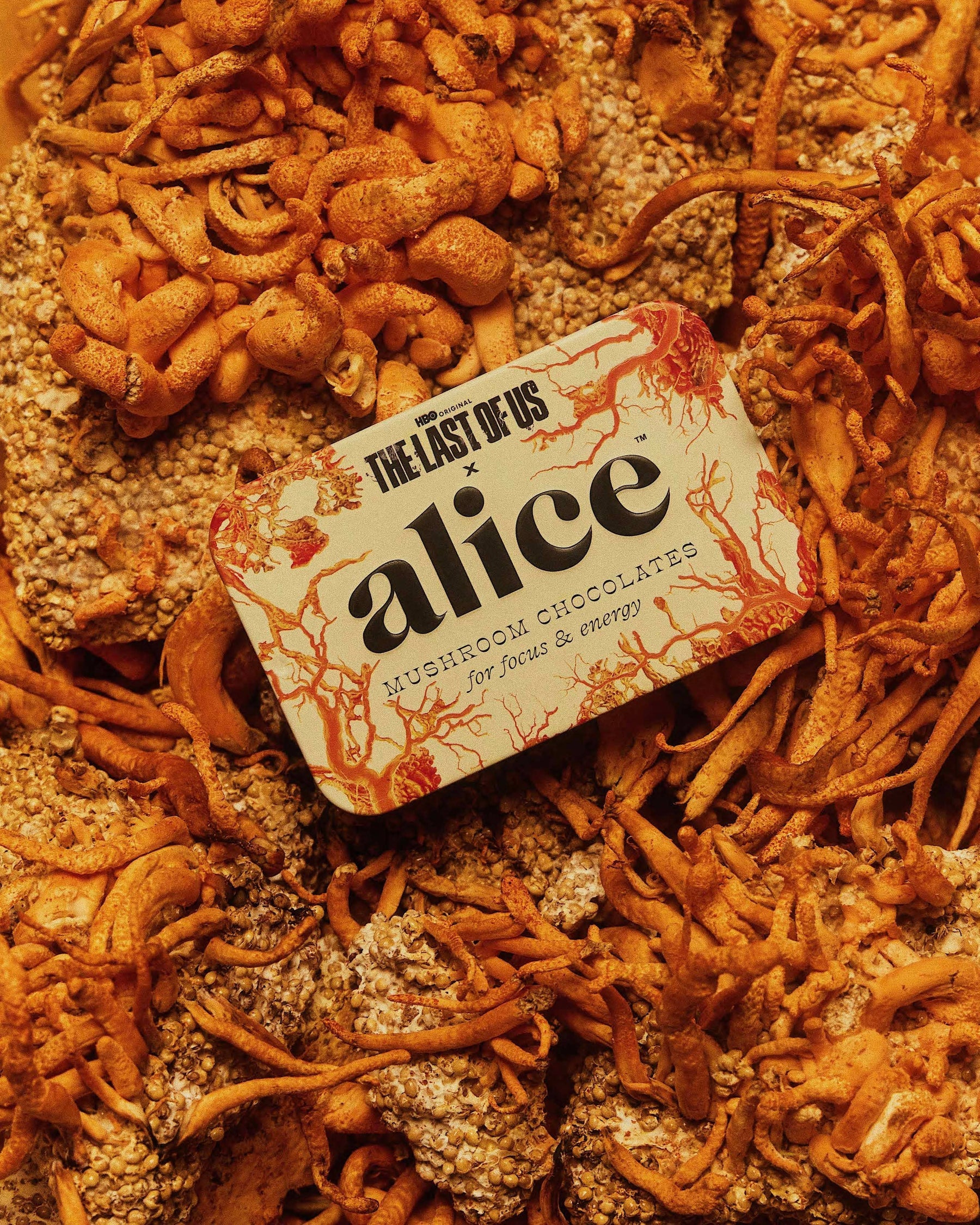 Alice The Last of Us Brainstorm - Mushroom Chocolates – Martie