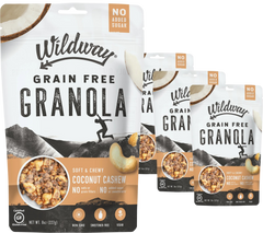 Soft & Chewy Snacking Granola Coconut Cashew (3 Pack)