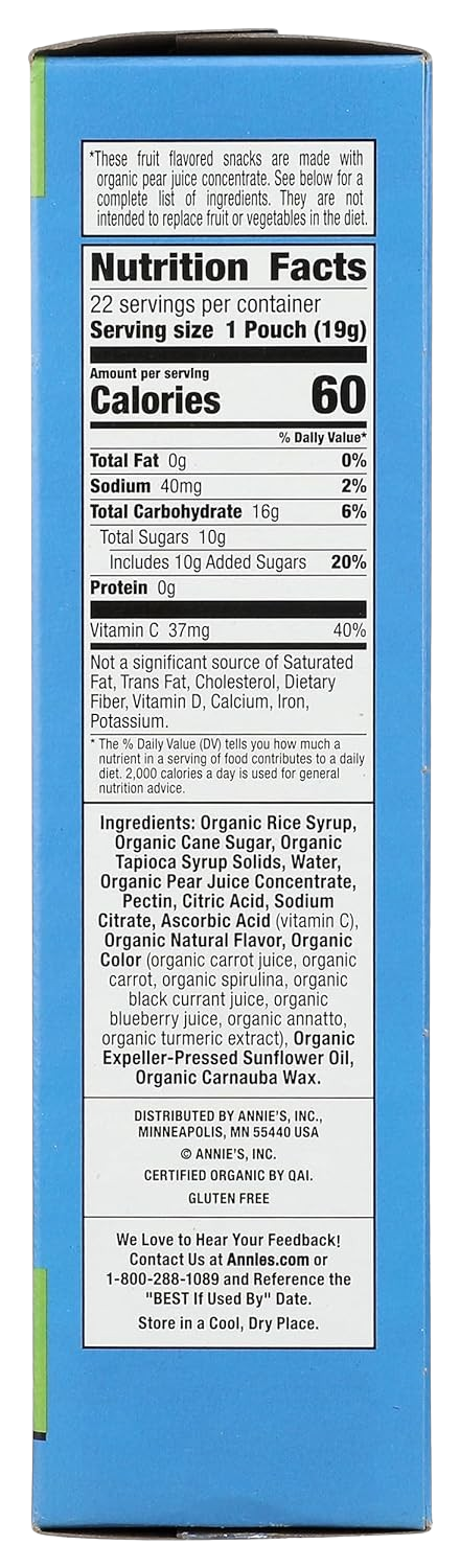 Organic Building Blocks Fruit Snacks (22 CT)