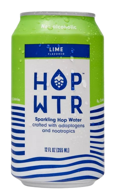 Lime Sparkling Water (6 Pack)