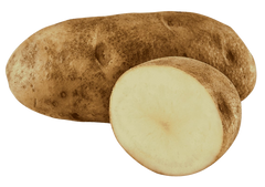 Russet Potato