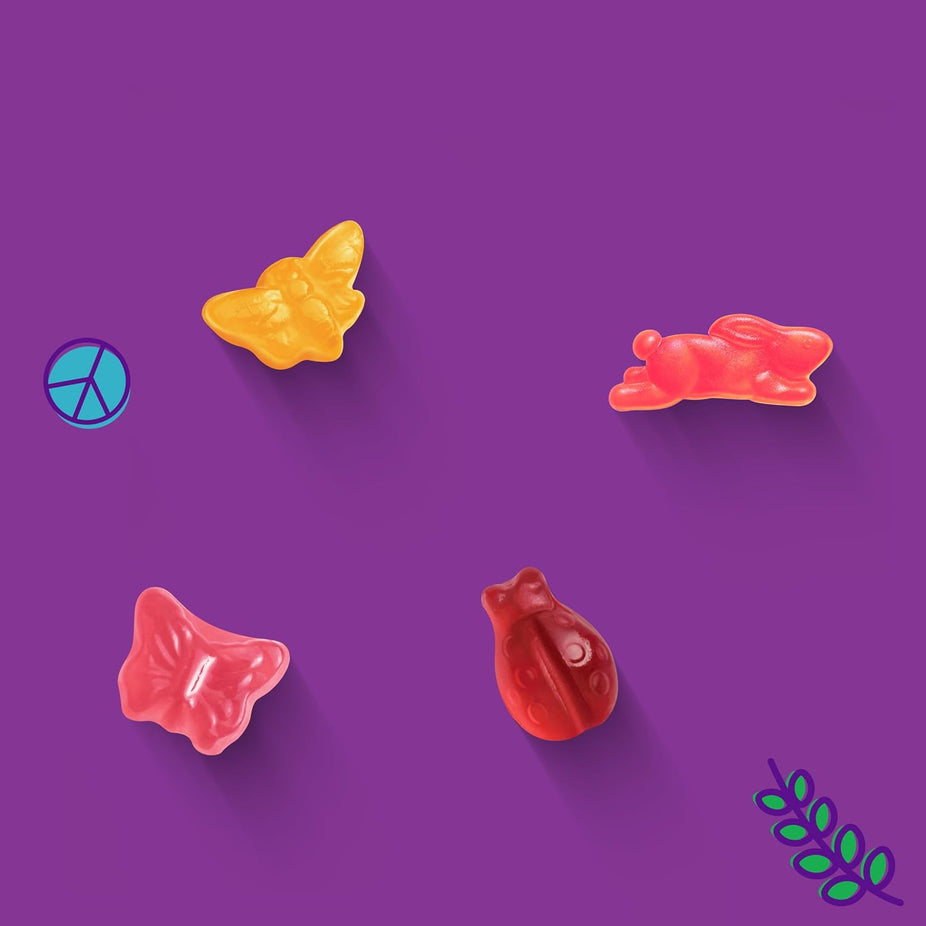 Bees, Bugs & Butterflies Strawberry, Raspberry & Apple Fruit Snacks