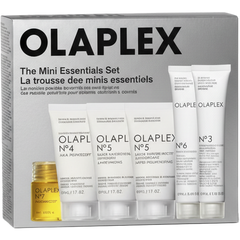 The Mini Essentials Hair Set