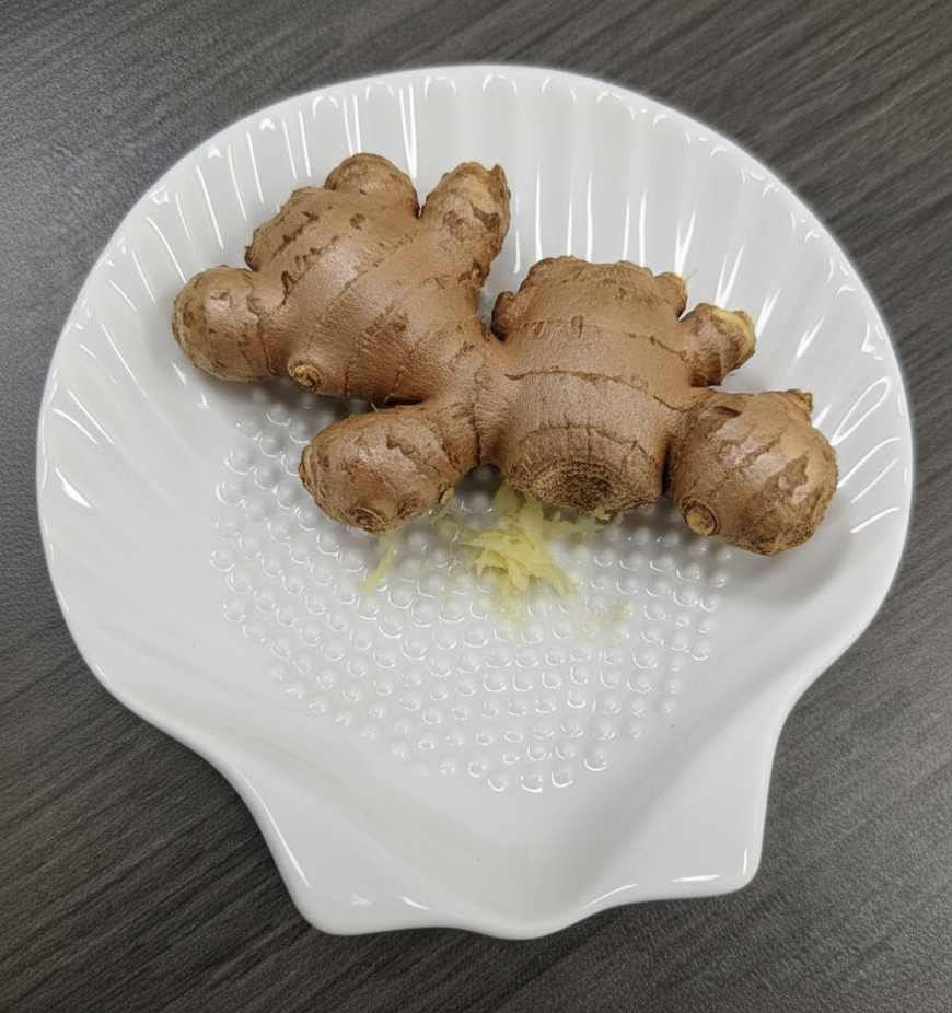 Porcelain Shell Grater