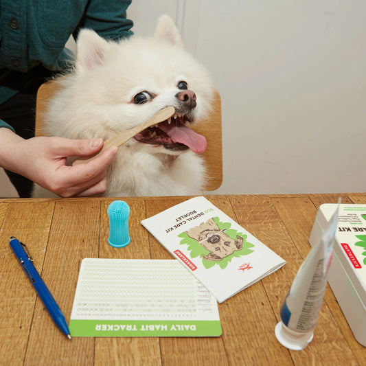 Eco Dental Care Kit - Bamboo Toothbrush, Finger Toothbrush, Pet Toothpaste and Booklet