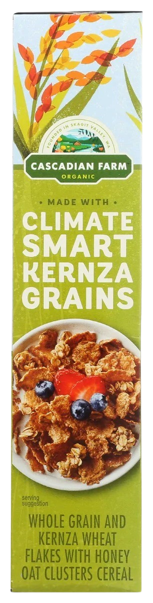 Organic Honey Oats Kernza Grains Cereal