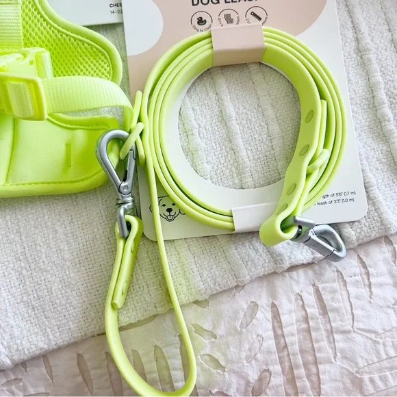 Small Leash - Neon Green