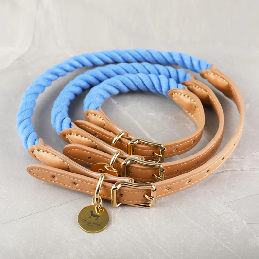 Wander Rope Dog Collar Blue (Large)