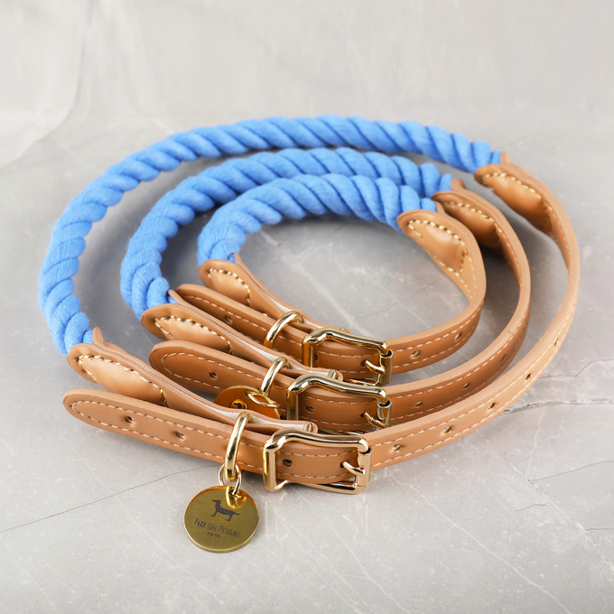 Wander Rope Dog Collar, Blue (Small)