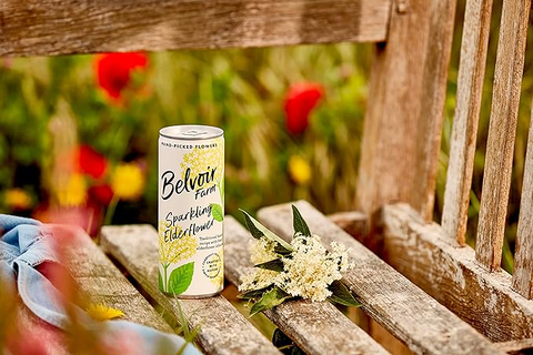 Elderflower  (4 Pack)