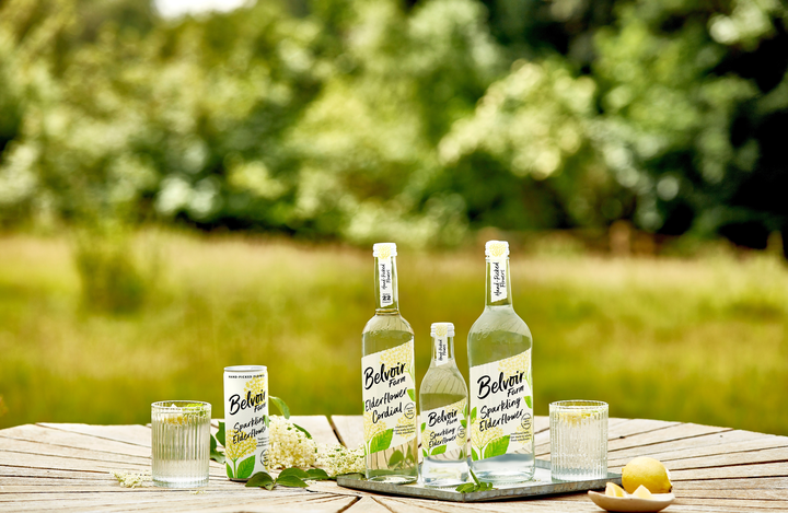 Elderflower  (4 Pack)