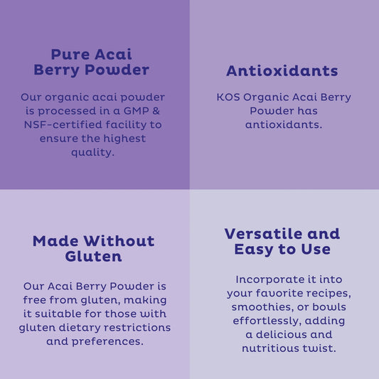 Organic Acai Juice Powder Superfood Booster