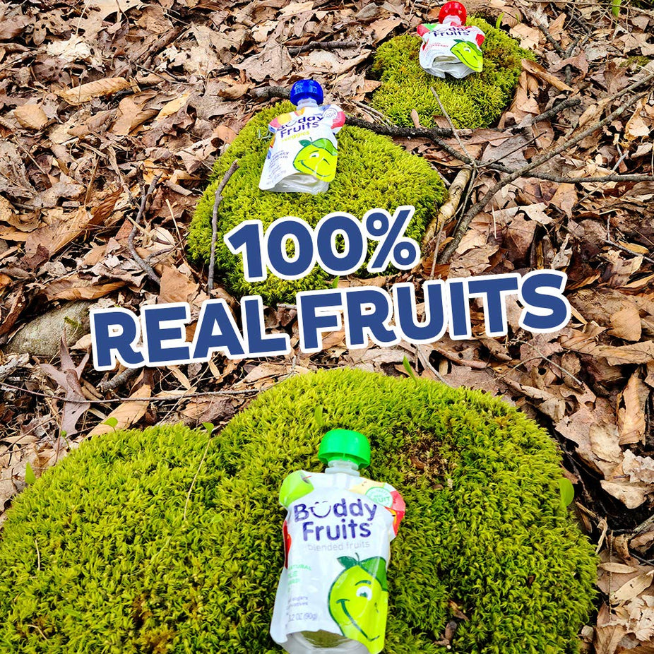 Originals Apple and Blueberry Fruit Pouch (18 Pack)