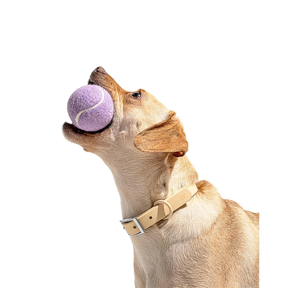 Tennis Balls - Standard - Lilac (4 CT)