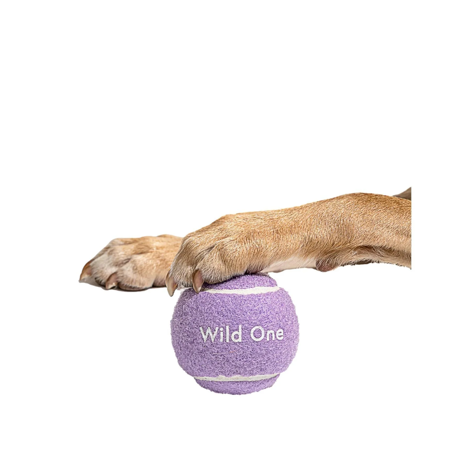 Tennis Balls - Standard - Lilac (4 CT)