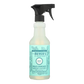 Mint Multi-Surface Everyday Cleaner