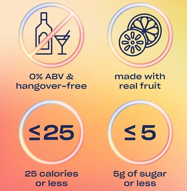 Zero Proof Ginger Lime Mule (4 Pack)