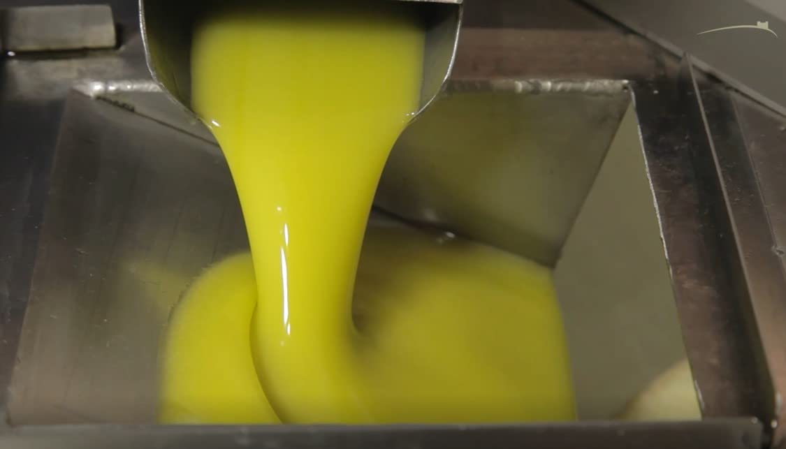 First Day Harvest Picual Extra Virgin Olive Oil