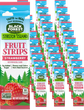 Strawberry Fruit Strips (30 Pack)