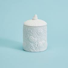 24oz Shell and Coral Relief Filled Candle with Sea Spray Scent- 30 hrs