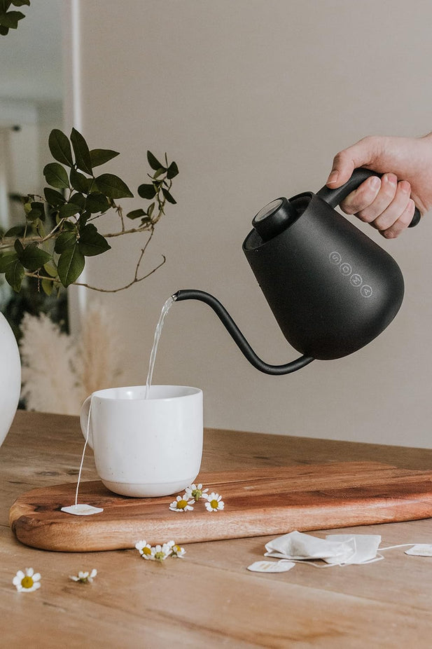 Stainless Steel Gooseneck Stovetop Kettle, Black