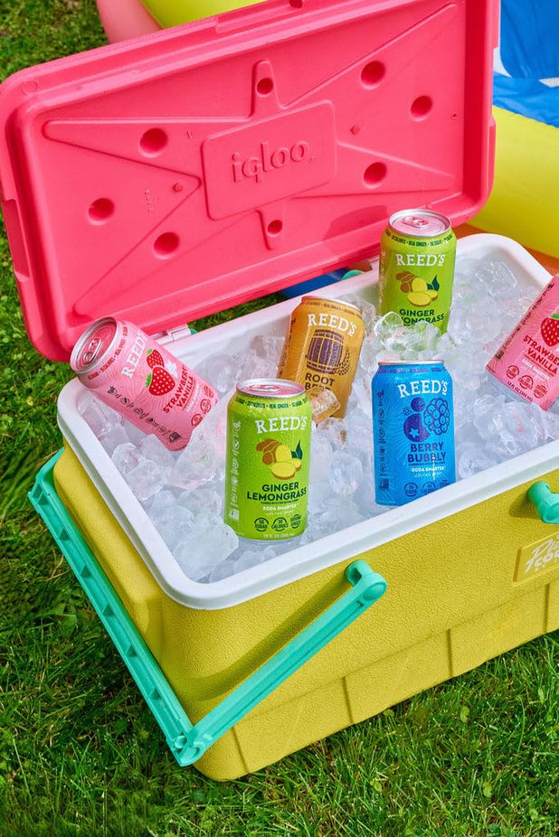 Ginger Lemongrass Functional Soda (12 Pack)