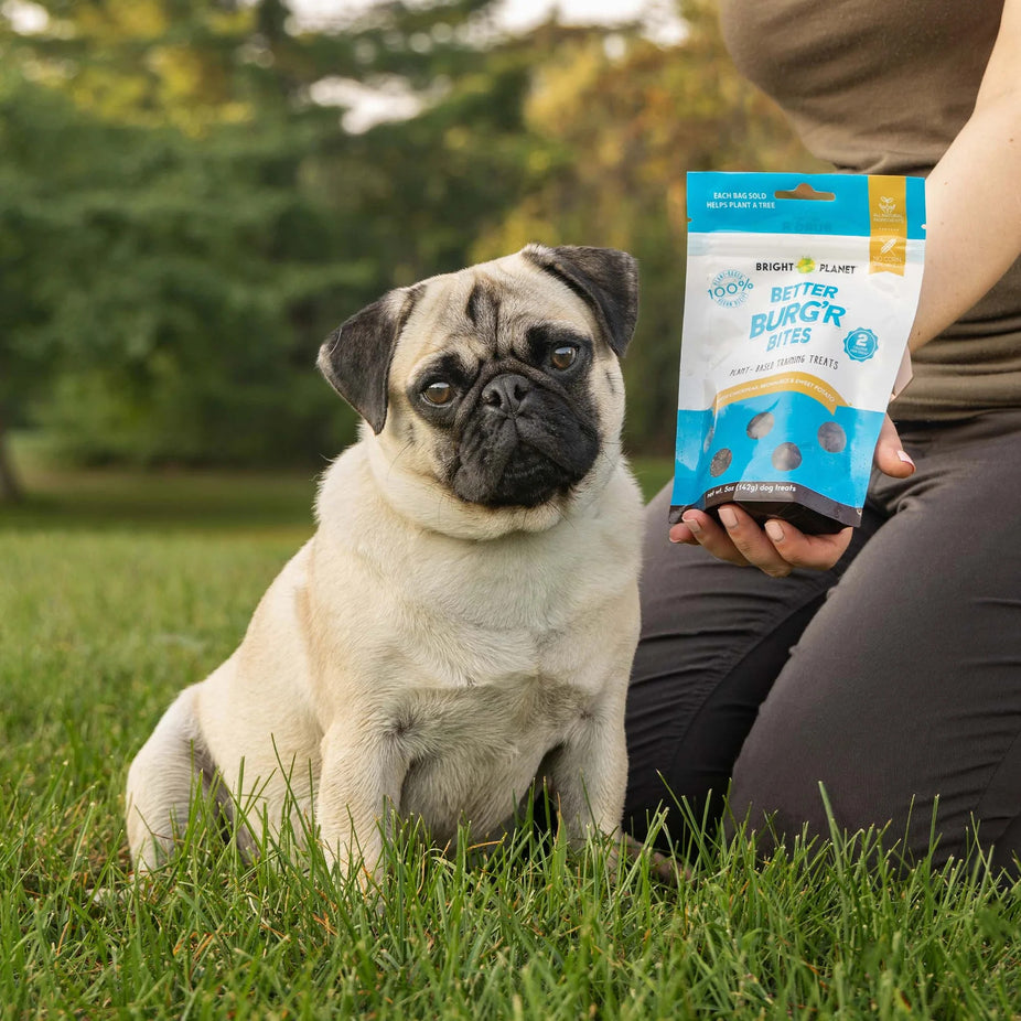 Better Burg'r Bites - Dog Training Treat