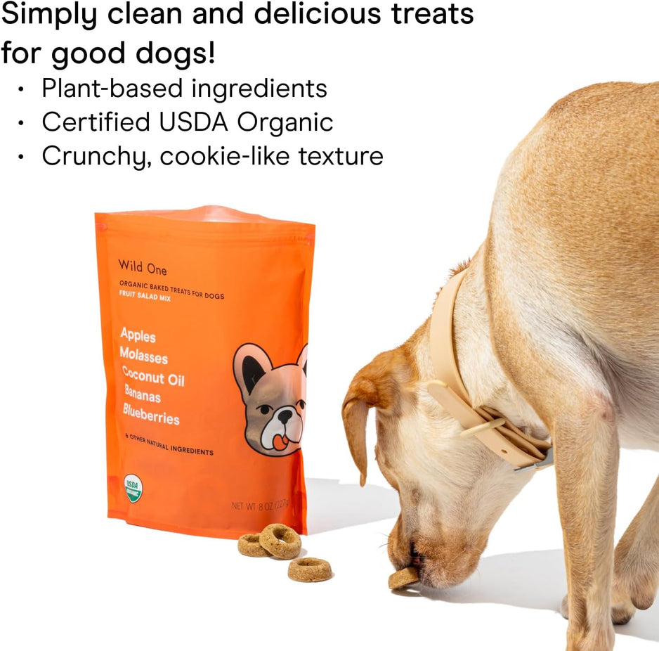 Baked Dog Treats One Size - Fruit Salad