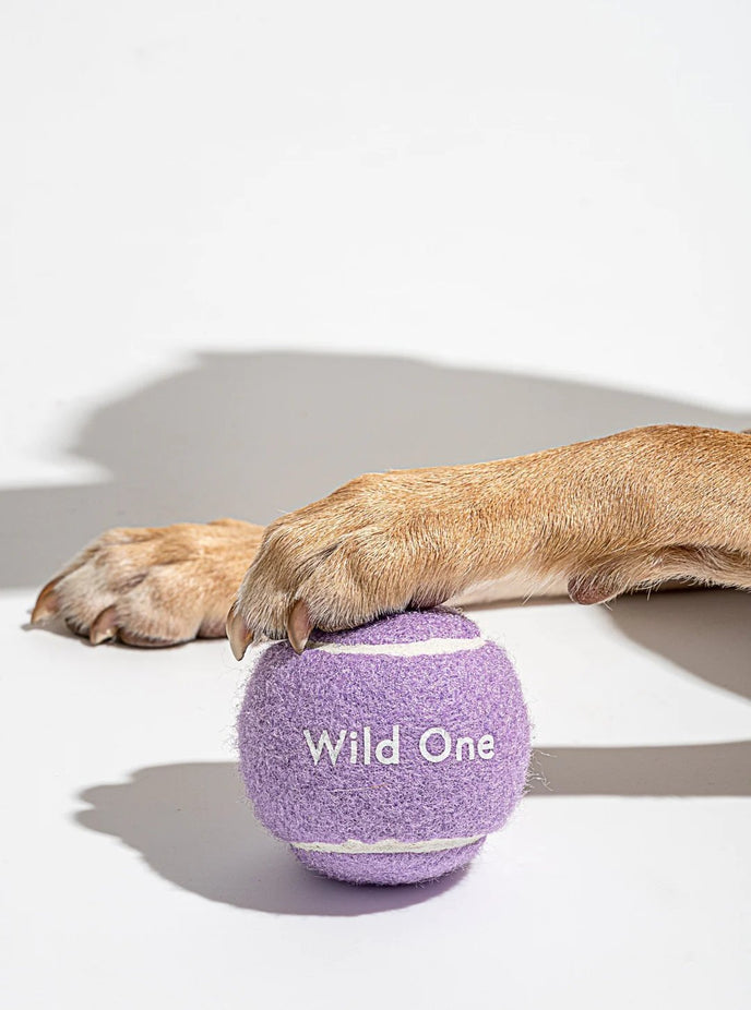 Tennis Balls Set of 4 - Small, Lilac