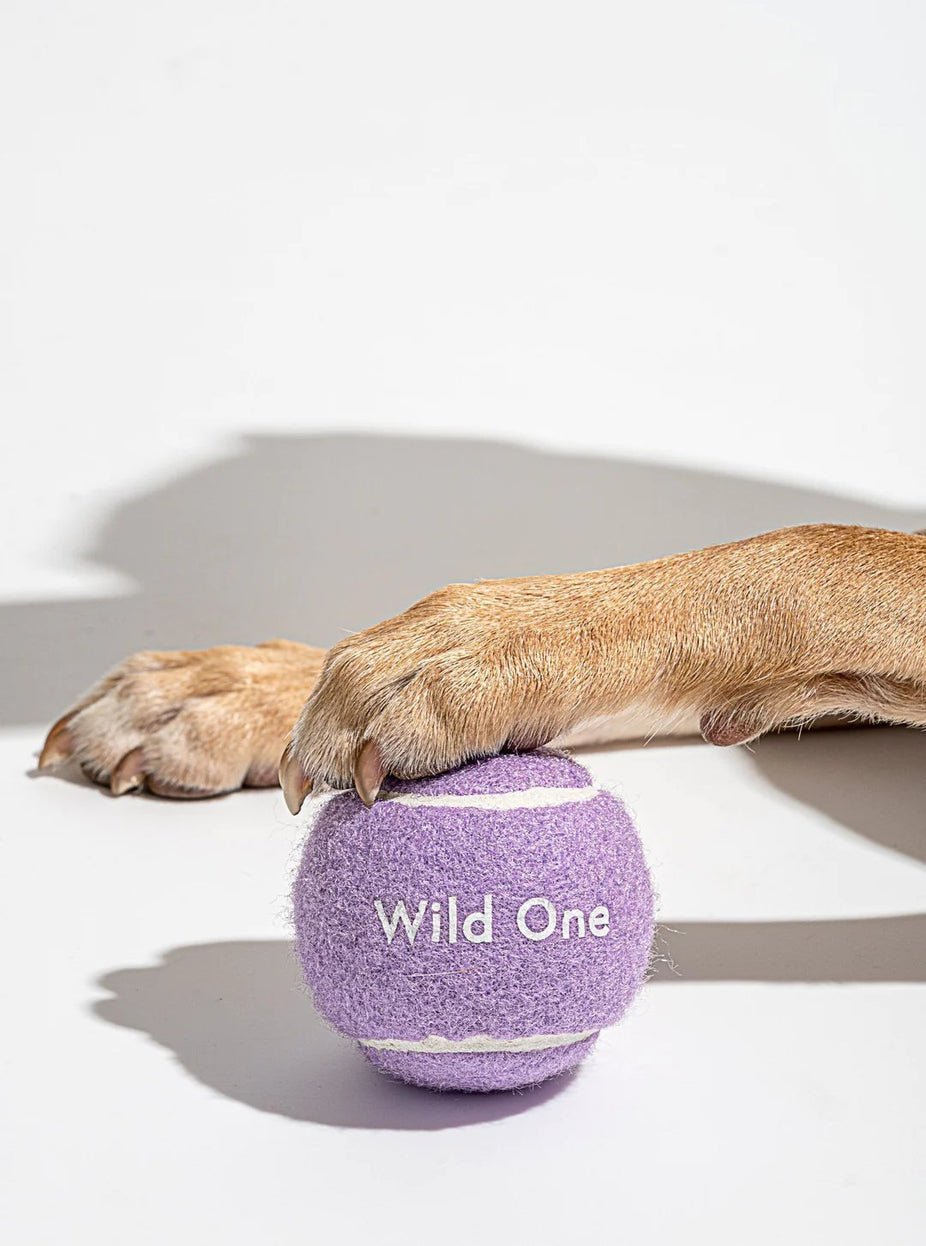 Tennis Balls - Small - Lilac (4 CT)