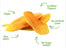 Citrus Splash Dried Organic Mangoes (10 Pack)