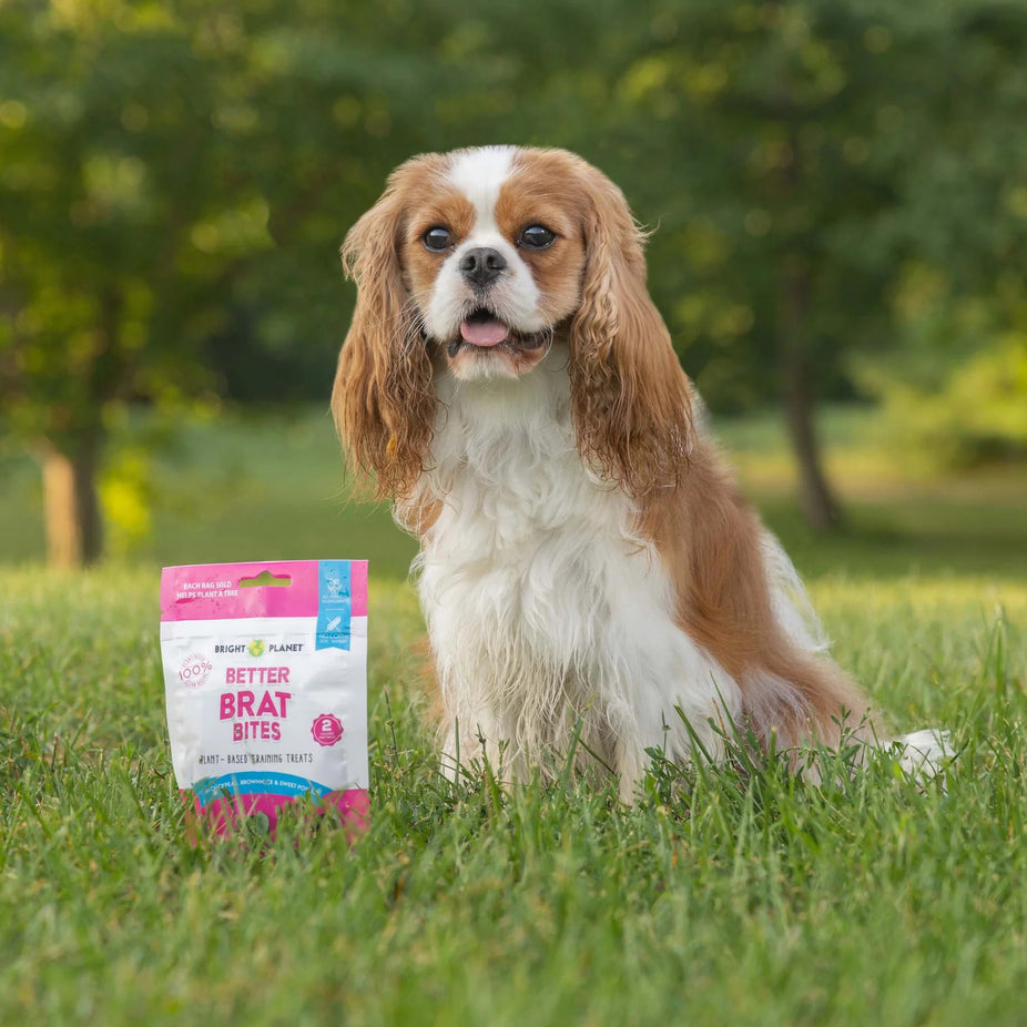 Better Brat Bites - Dog Training Treat