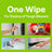 Garden Mint Multi-Surface Cleaning Wipes