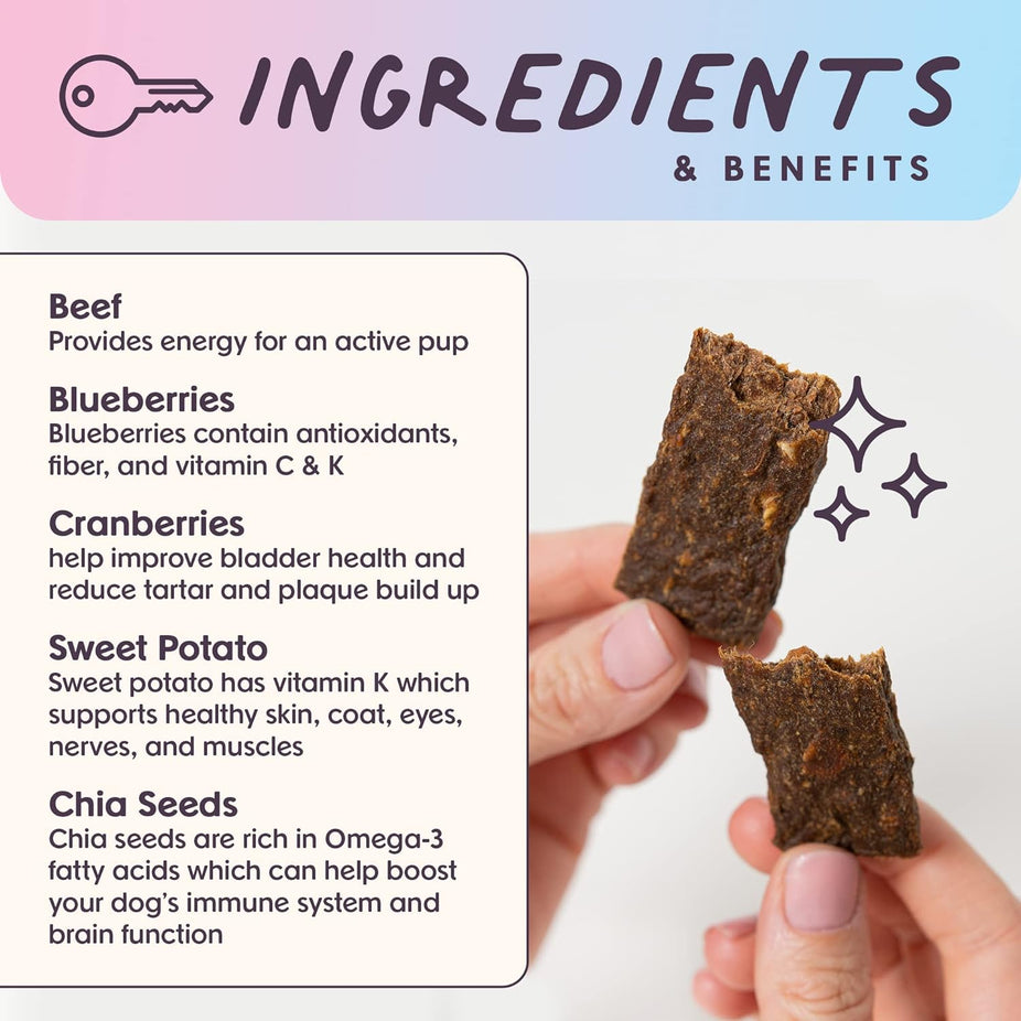 Leash & Load Beef Superfood Jerky Dog Bars