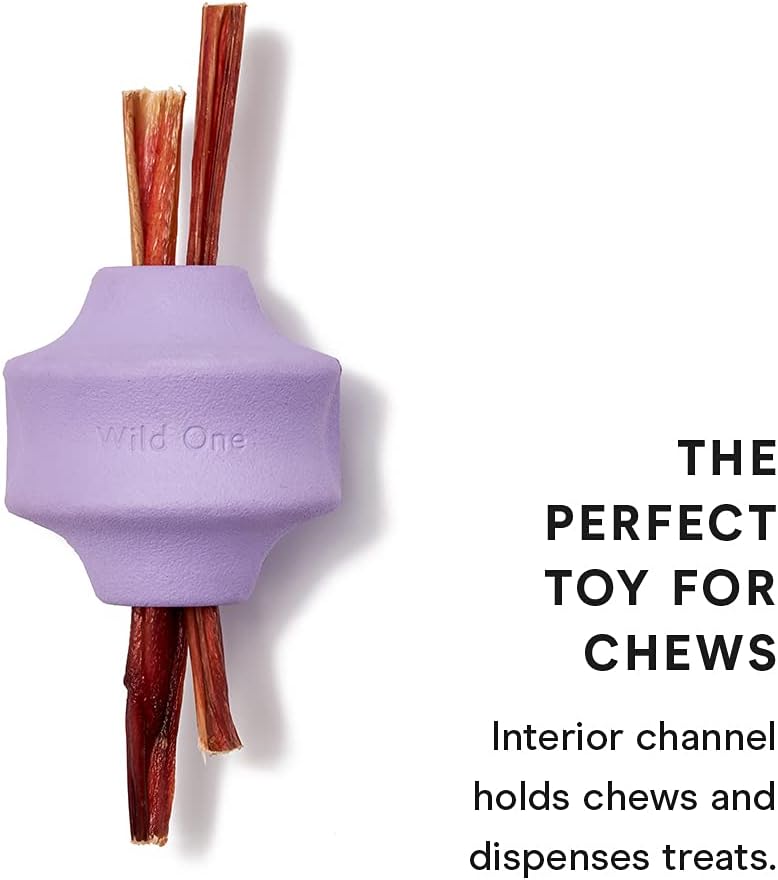 Twist Toss Interactive Dog Toy - Lilac