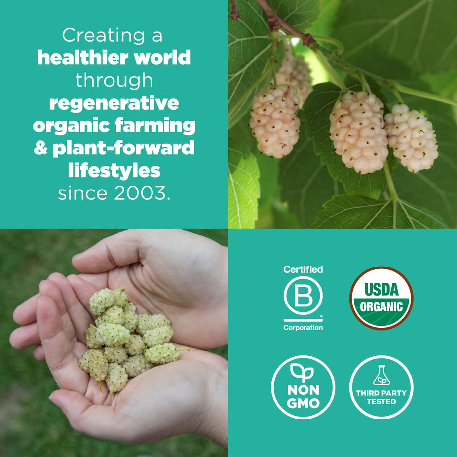 Organic Mulberries