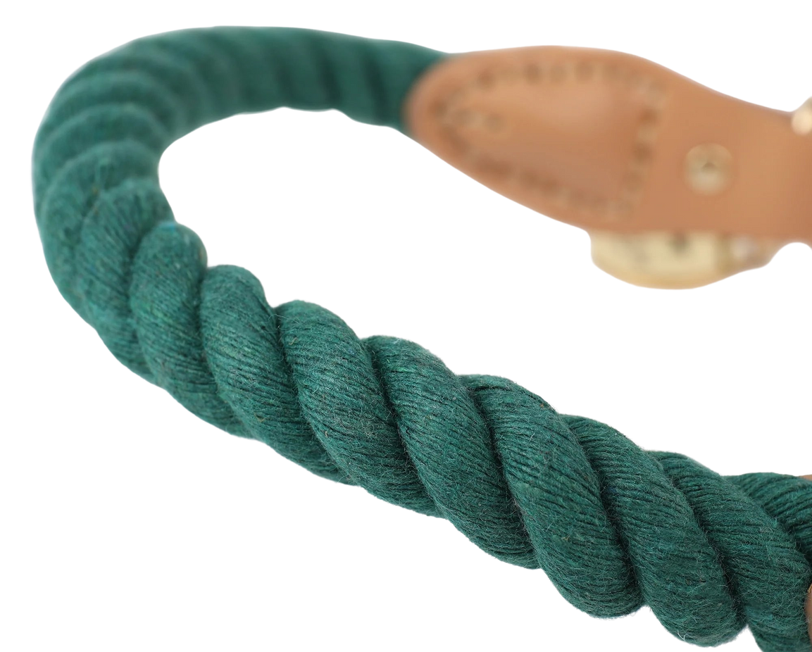 Wander Rope Dog Collar, Green (Medium)