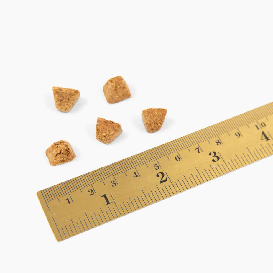 Cravin' Cricket Dog Food