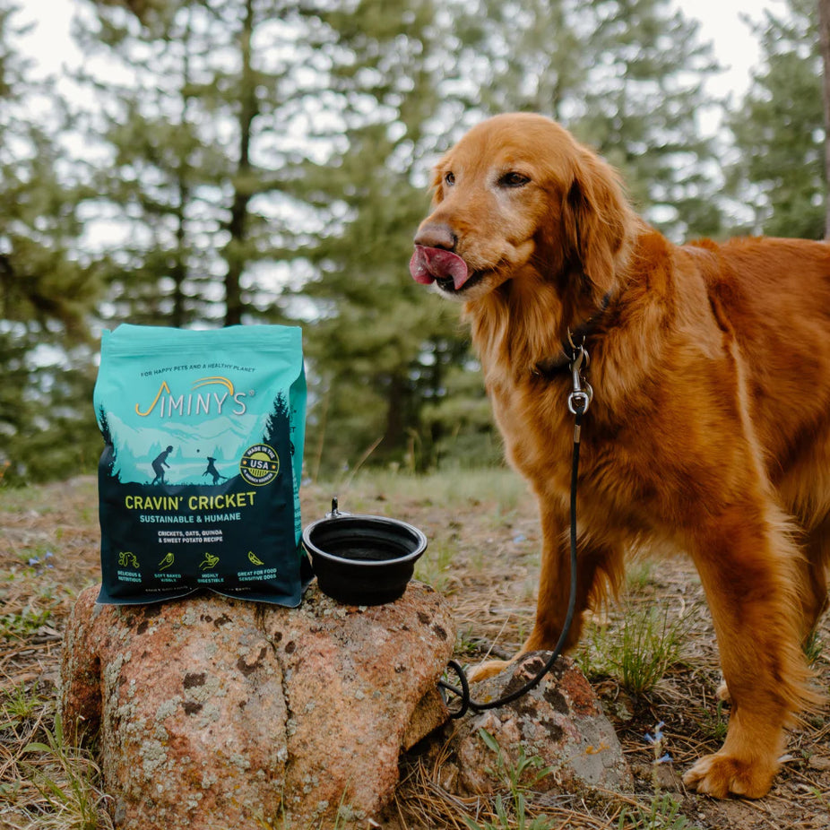 Cravin' Cricket Dog Food