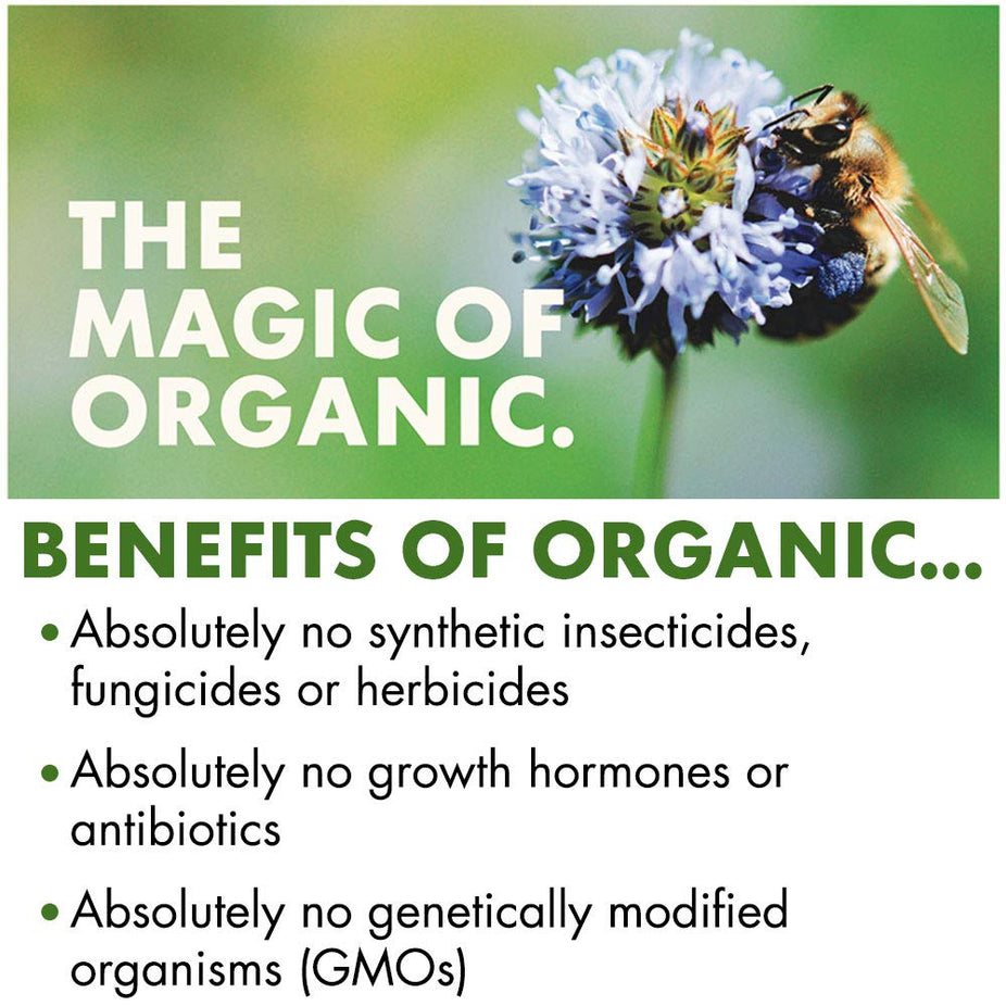 Orgainc Plant Protein Honey Roasted Nut Bars (5 Bar)