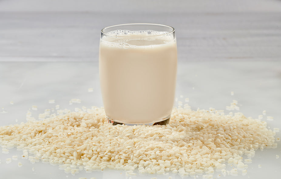 Organic Hazelnut Rice Milk