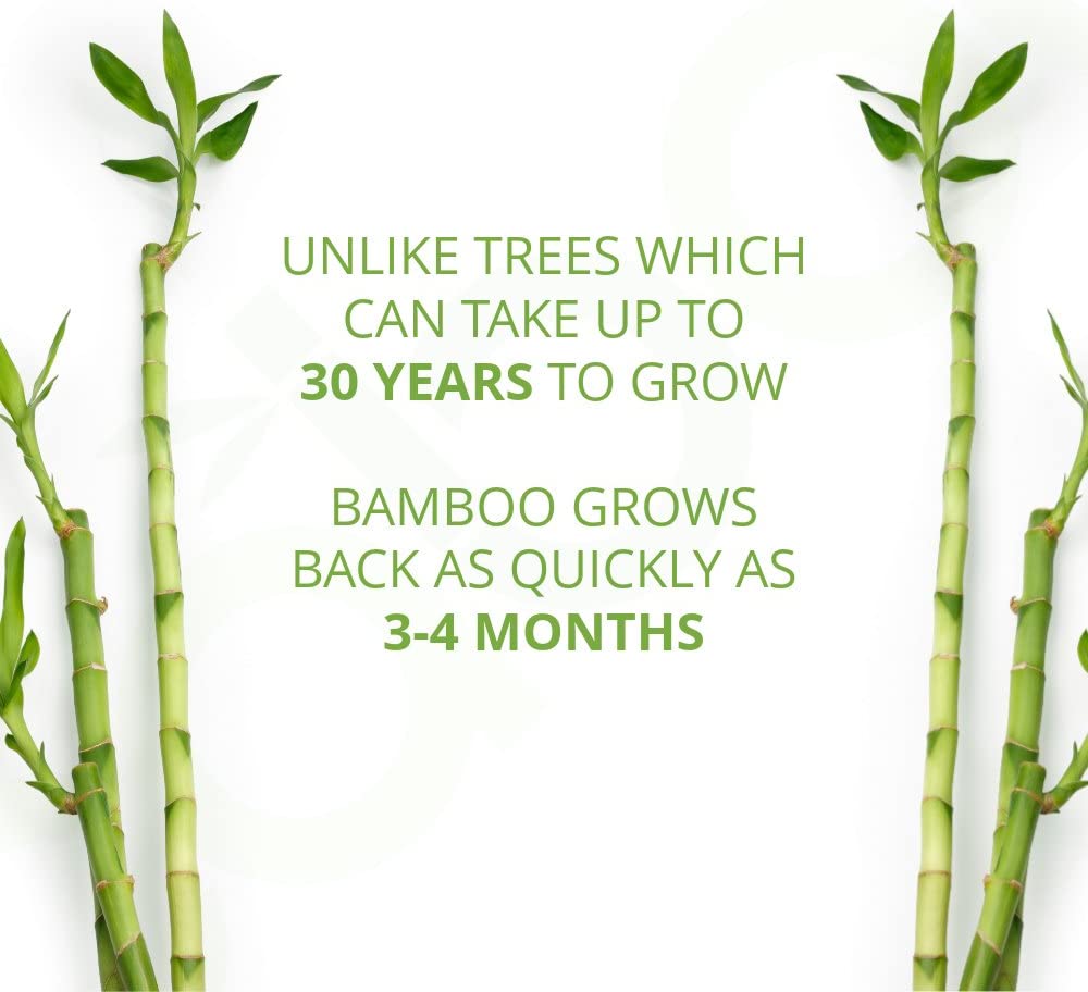 Bamboo Wet Wipes (6 Pack)