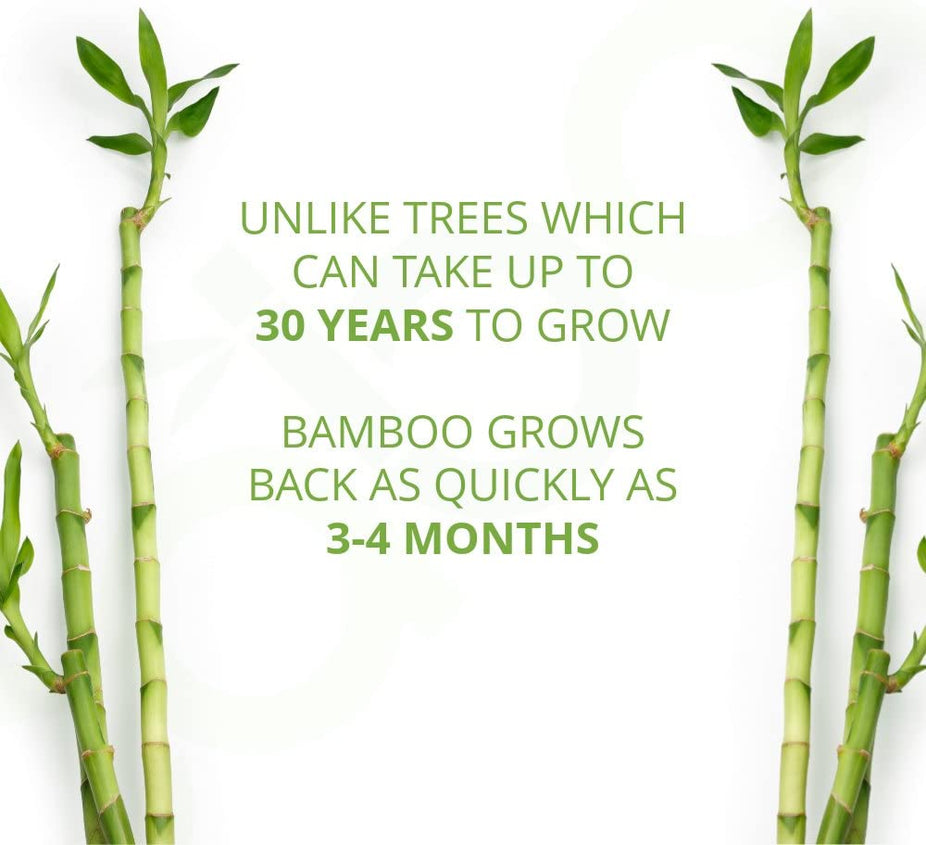 Bamboo Wet Wipes (6 Pack)