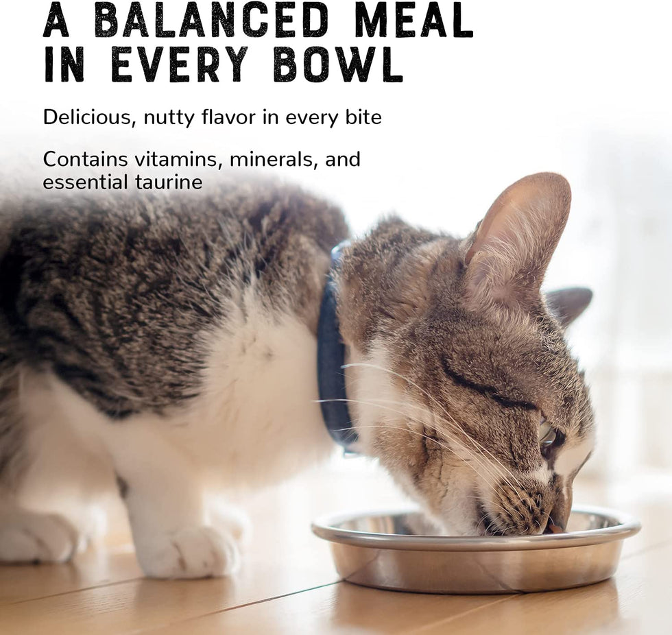 Cat Food Pate Flavorful Turkey