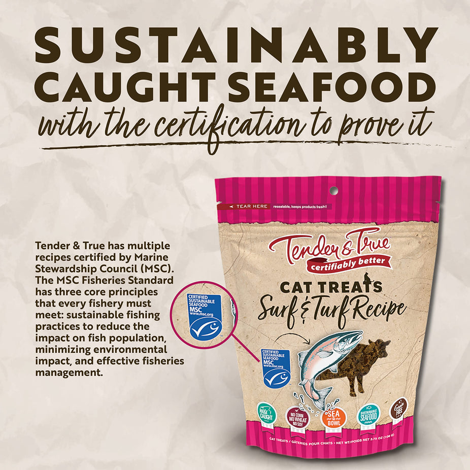 Surf & Turf Cat Treat