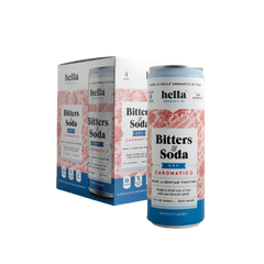 Dry Aromatic Bitters & Soda 4Pk
