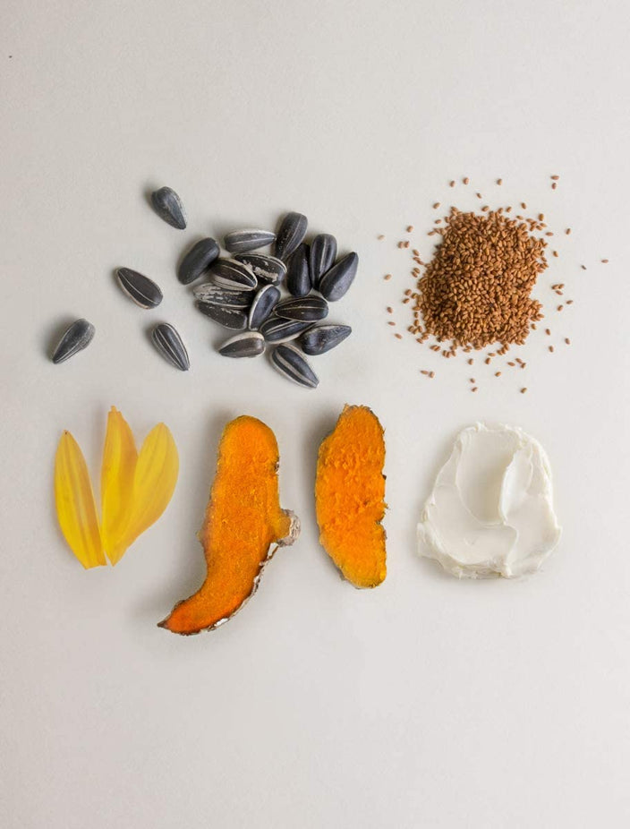 Everyday Conditioner